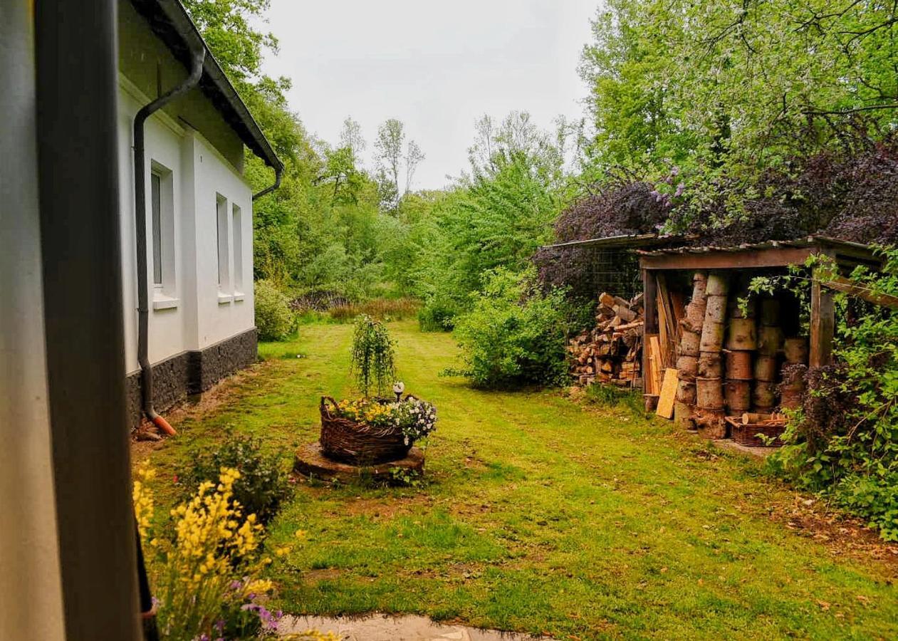 Wohnung am Wasser Witzeeze Exterior foto
